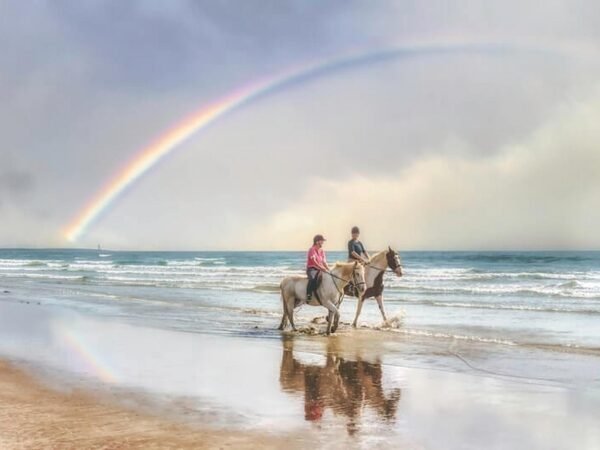 Kauai Horseback Riding Tours